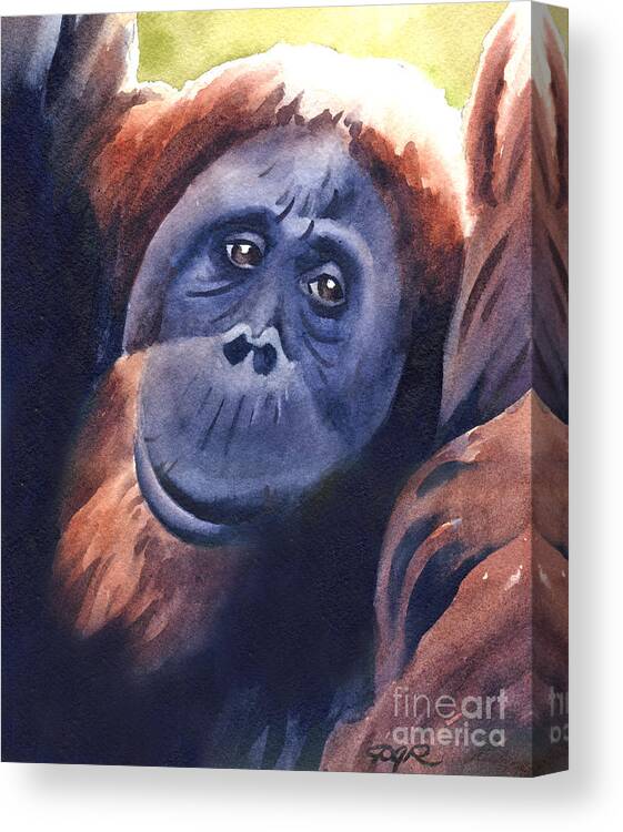 Orangutan Canvas Print featuring the painting Orangutan by David Rogers