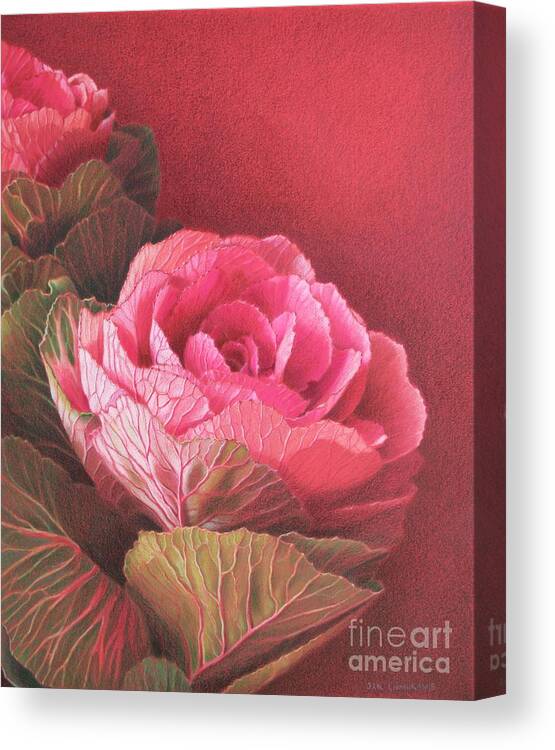 Flowers Canvas Print featuring the painting Ornamental Kale by Jan Lawnikanis