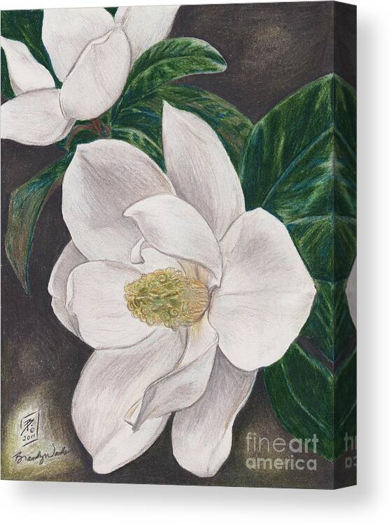 Flowers Canvas Print featuring the drawing PawPaw's Magnolias by Brandy Woods