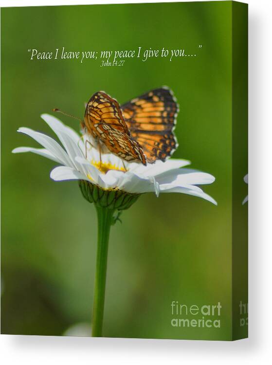 Diane Berry Canvas Print featuring the photograph Peace I Leave You by Diane E Berry