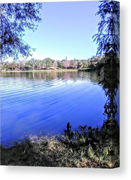 Seminole Lake Canvas Print featuring the photograph Peace by Suzanne Berthier
