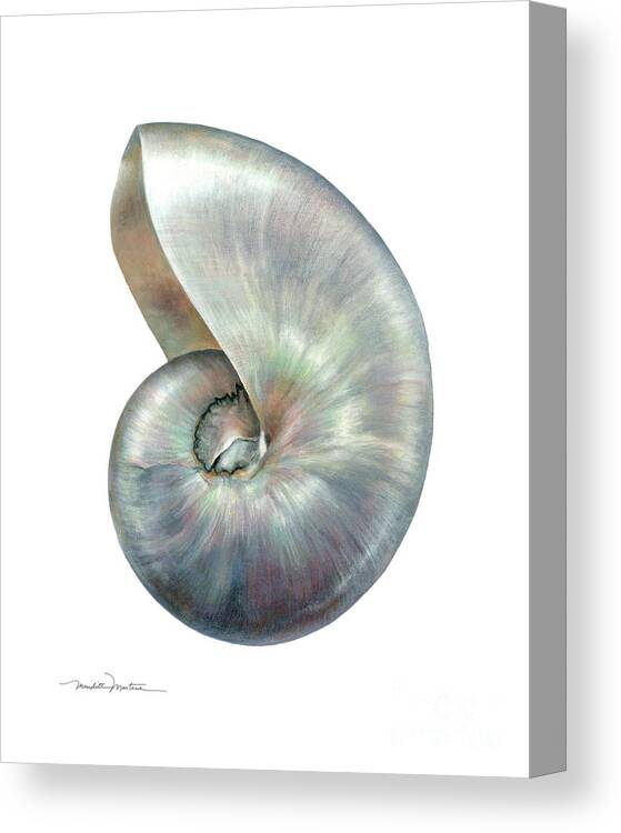 Sea Shell Canvas Print featuring the painting Pearl Nautilus by Meridith Martens