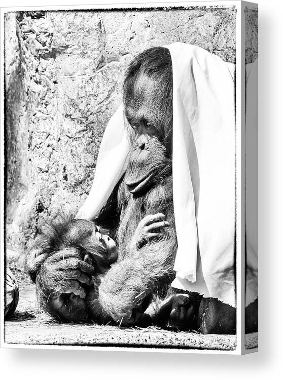 Crystal Yingling Canvas Print featuring the photograph Playtime by Ghostwinds Photography