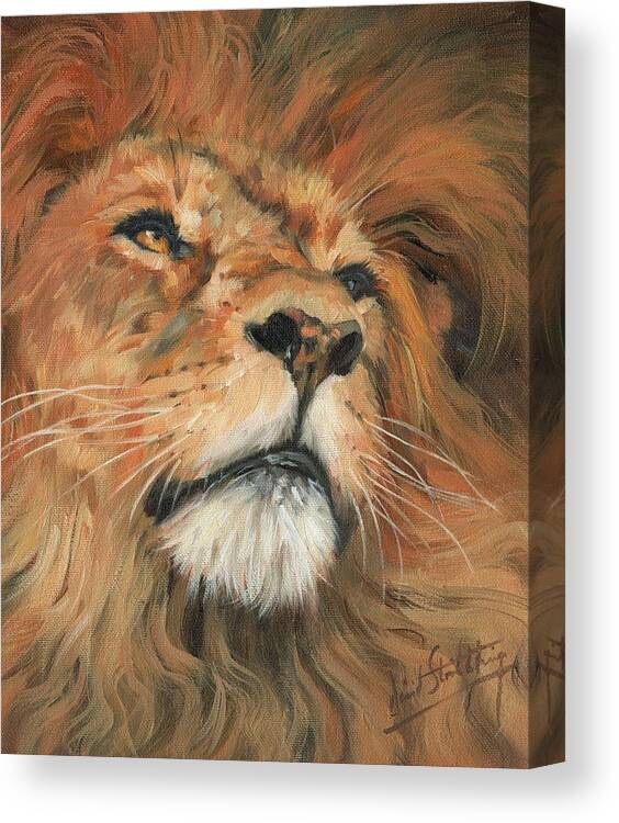 Lion Canvas Print featuring the painting Portrait of a Lion by David Stribbling