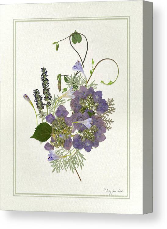 Morning Glory Canvas Print featuring the painting Pressed Dried Flower Painting - Blue Hydrangeas Morning Glory Lavender Ferns by Audrey Jeanne Roberts