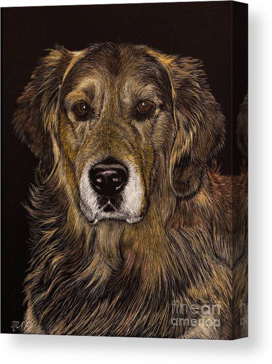 Golden Retriever Canvas Print featuring the photograph Prince of Champions by Margaret Sarah Pardy