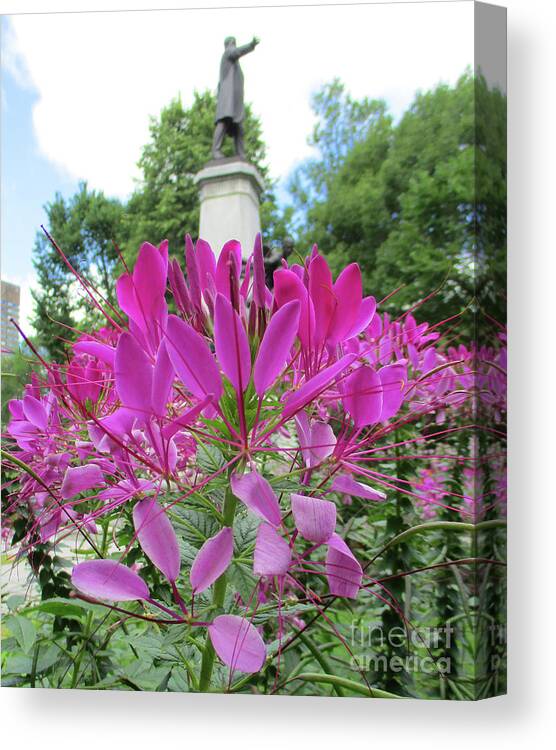 Flower Canvas Print featuring the photograph Purple Petals by Randall Weidner