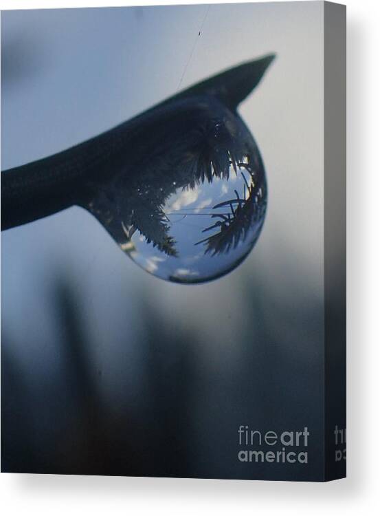 Nature Canvas Print featuring the photograph Raindrop World by Christina Verdgeline