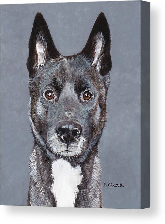 Dog Canvas Print featuring the painting Raya by Daniel Carvalho