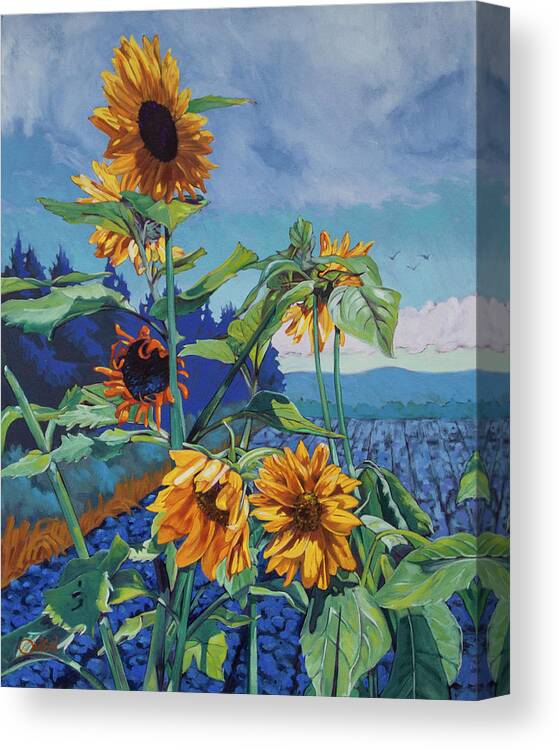 Painted Sunflowers 24x30 Oil On Canvas Canvas Print featuring the painting Ray's Sunflowers by Rob Owen