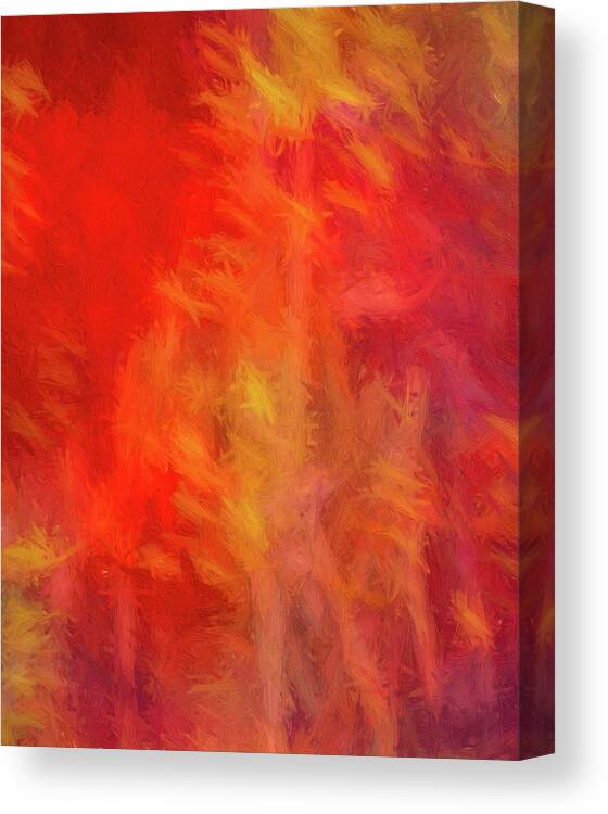 Abstract Canvas Print featuring the digital art Red Abstract by Steve DaPonte