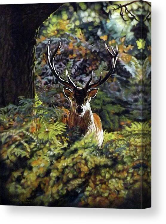 Red Deer Canvas Print featuring the pastel Red Deer Stag by Linda Becker