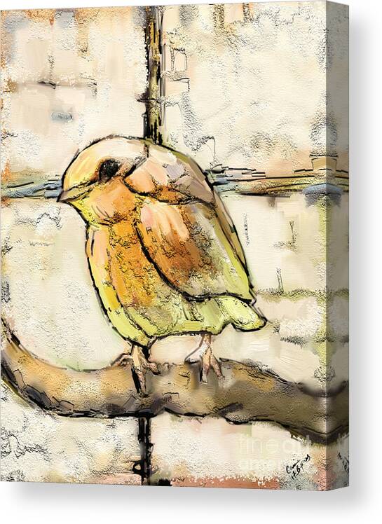 Bird Canvas Print featuring the mixed media Robin Collage by Carrie Joy Byrnes