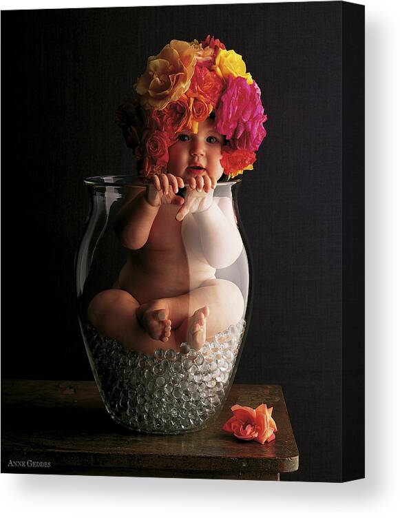 Rose Canvas Print featuring the photograph Vase of Roses by Anne Geddes