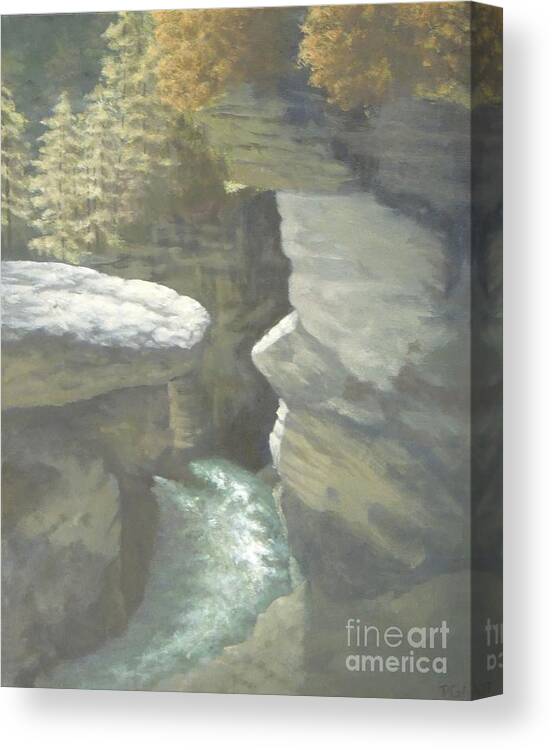 Appalachian Mountains Canvas Print featuring the painting Rushing River by Phyllis Andrews