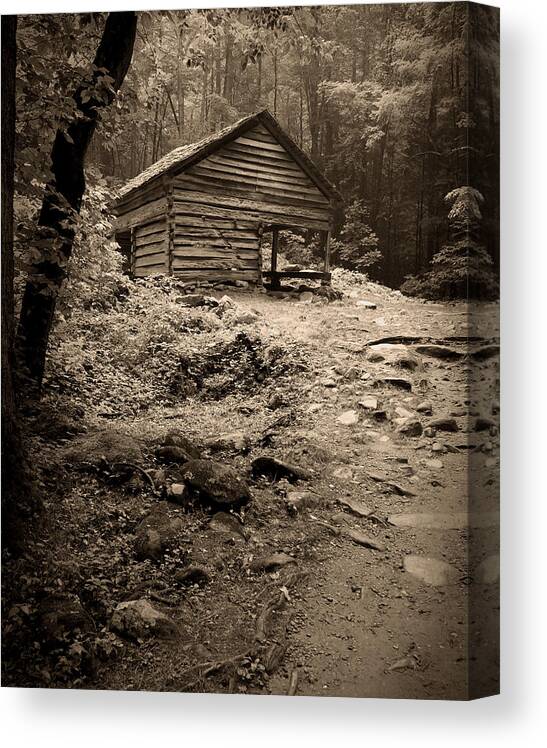 Rustic Canvas Print featuring the photograph Rustic Cabin by Larry Bohlin