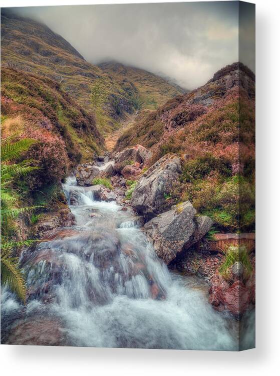 Scottish Mountain Stream Canvas Print featuring the photograph Scottish Mountain Stream by Ray Devlin