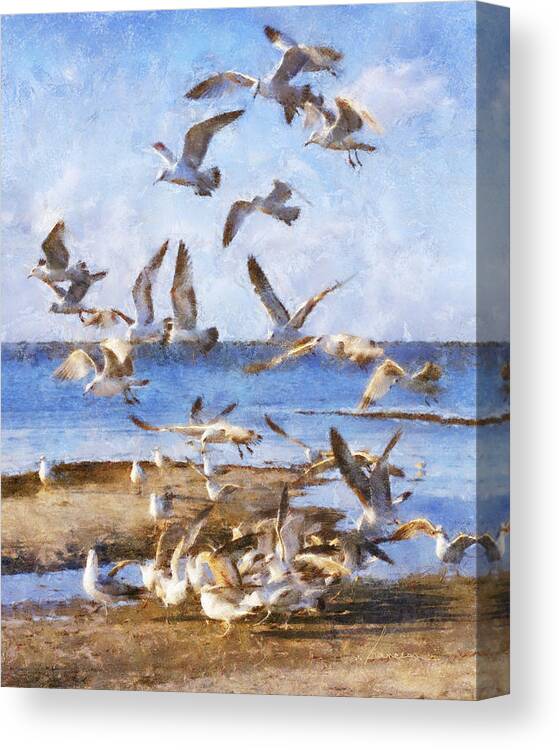 Seagulls Canvas Print featuring the digital art Seagull Convention by Frances Miller