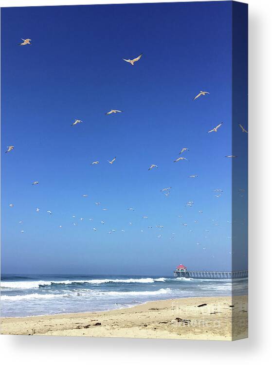 Seagulls Canvas Print featuring the photograph Seagulls and Pier by Cheryl Del Toro