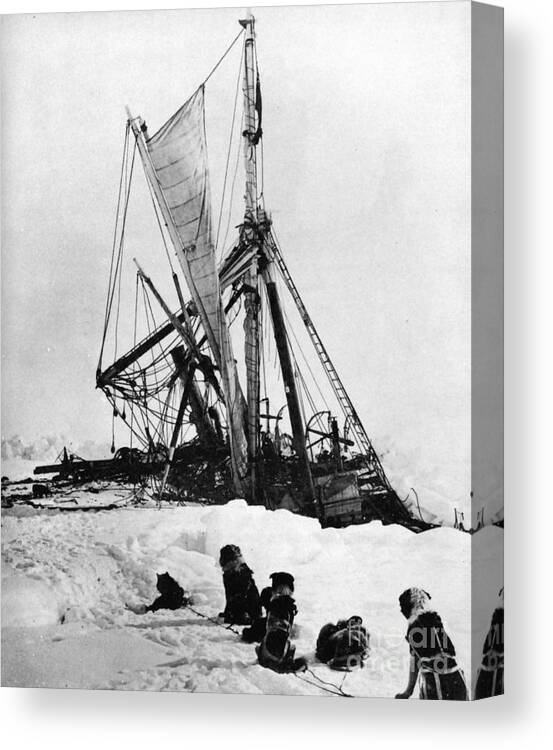 1915 Canvas Print featuring the photograph Shackletons Endurance by Granger