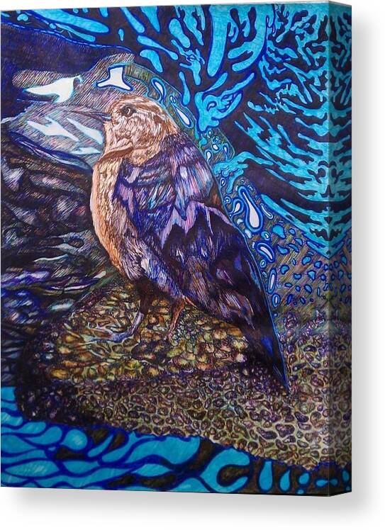 Bird Canvas Print featuring the drawing Shore Bird by Angela Weddle