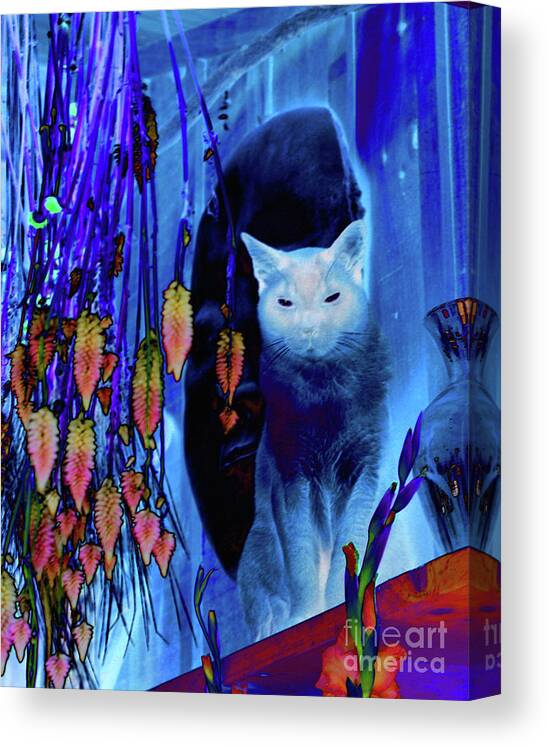 Animal Canvas Print featuring the digital art Siamese Cat In Blue by Smilin Eyes Treasures