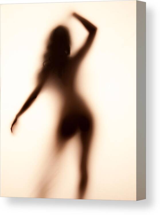 Silhouette Canvas Print featuring the photograph Silhouette 117 by Michael Fryd
