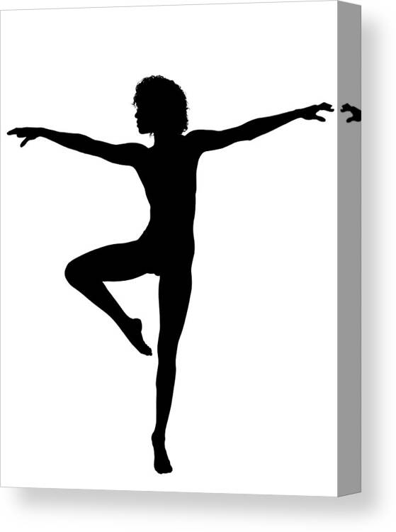Silhouette Canvas Print featuring the photograph Silhouette 24 by Michael Fryd