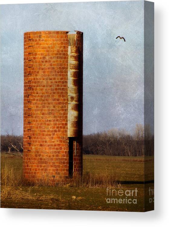 Abandoned Canvas Print featuring the photograph Silo by Lana Trussell