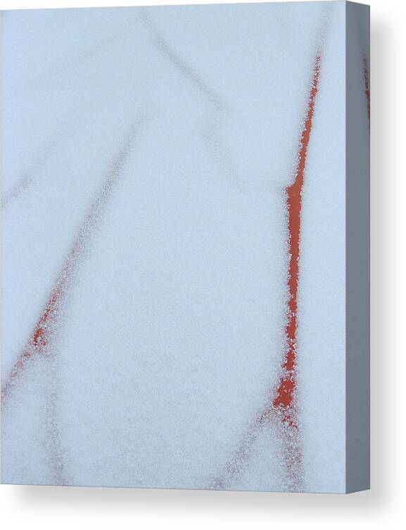 Snow Canvas Print featuring the photograph Snow Veins by Annekathrin Hansen