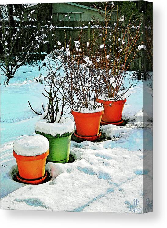 Winter Canvas Print featuring the digital art Snowy Pots by Gary Olsen-Hasek