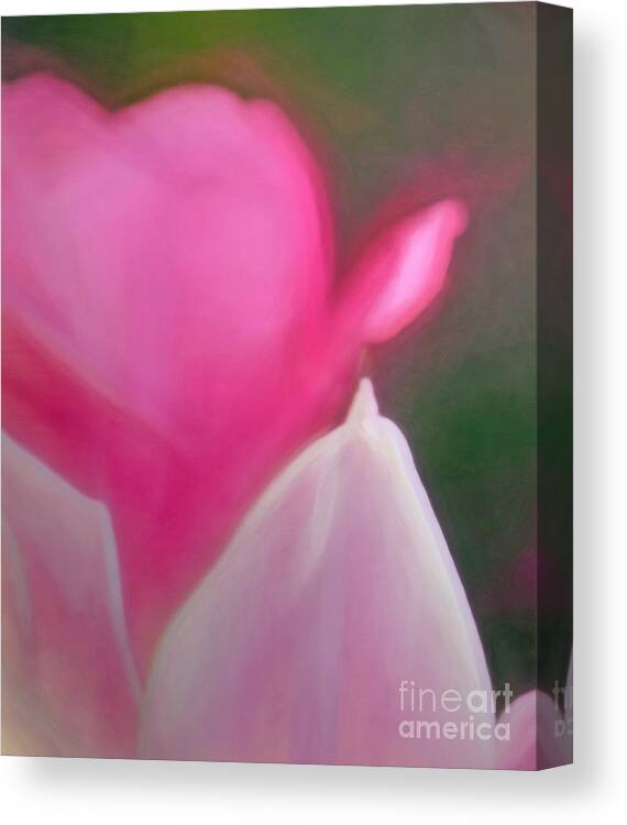 Tulips Canvas Print featuring the photograph Soft Pink 2 by Kerri Farley