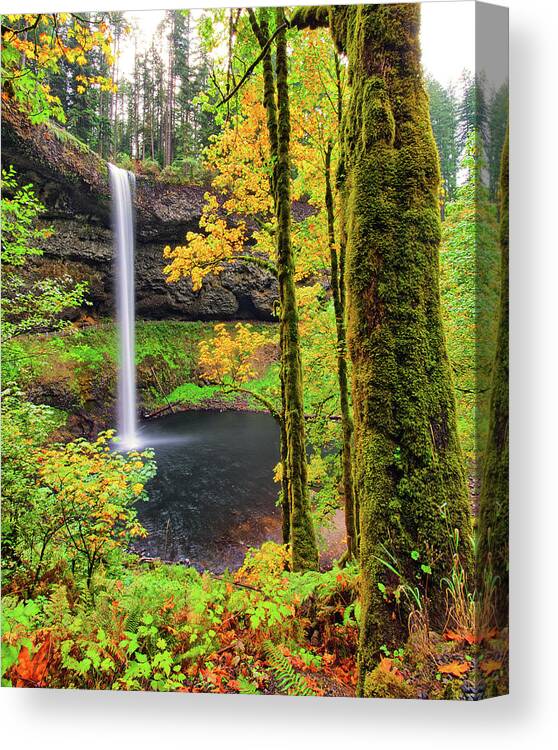 Oregon Canvas Print featuring the photograph South Silver Falls by Jedediah Hohf