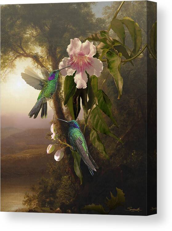 Birds Canvas Print featuring the digital art Sparkling Violetear Hummingbirds and Trumpet Flower by M Spadecaller