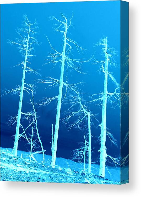 Trees Canvas Print featuring the photograph Standing still  up on hwy 2509 by Marie Neder
