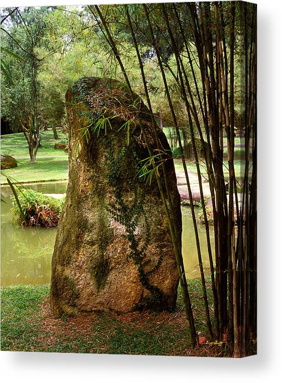 Standing Stone Canvas Print featuring the photograph Standing Stone with Fern and Bamboo 19A by Gerry Gantt