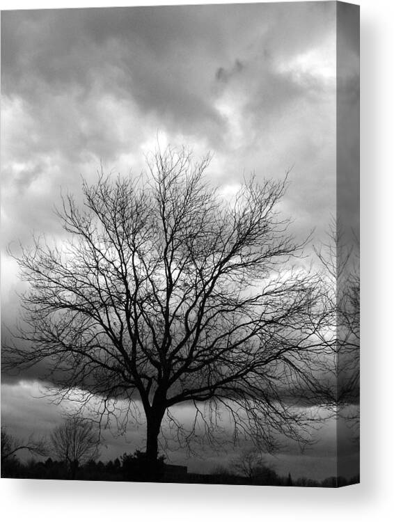 Stormy Canvas Print featuring the photograph Stormy 2 by Joanne Coyle