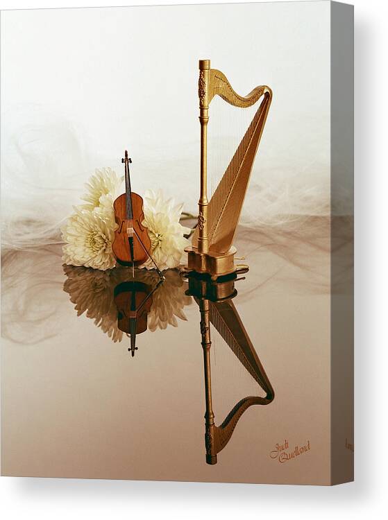 Strine Duet Canvas Print featuring the photograph String Duet by Judi Quelland