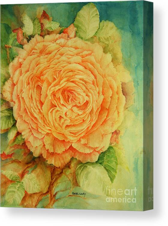 Rose Canvas Print featuring the painting Summer Rose by Rachel Lowry