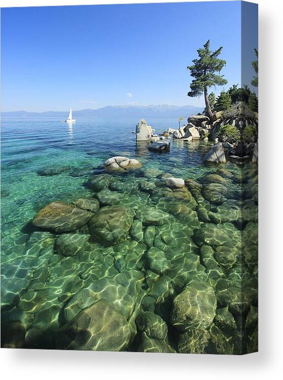 Lake Tahoe Canvas Print featuring the photograph Summer Sail Portrait by Sean Sarsfield