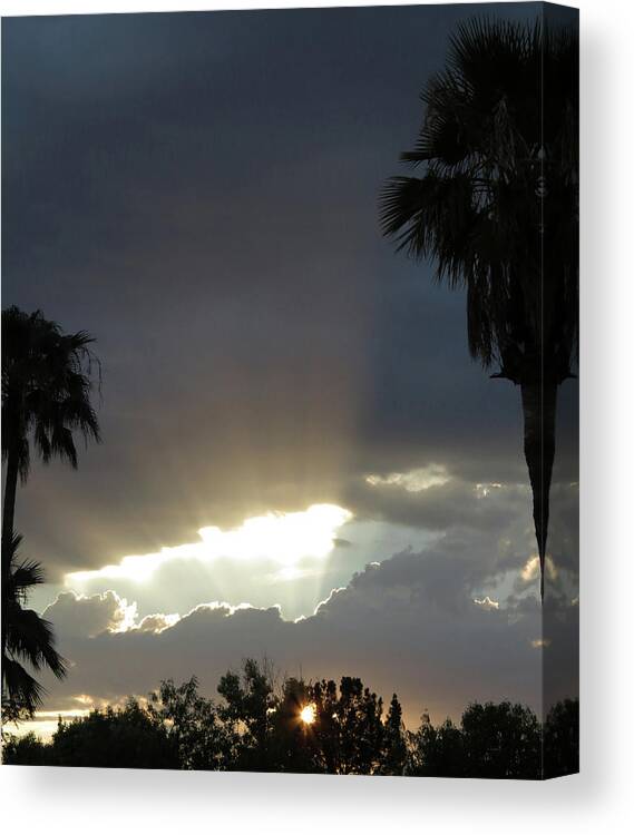Summer Canvas Print featuring the photograph Sunbeams by Laurel Powell