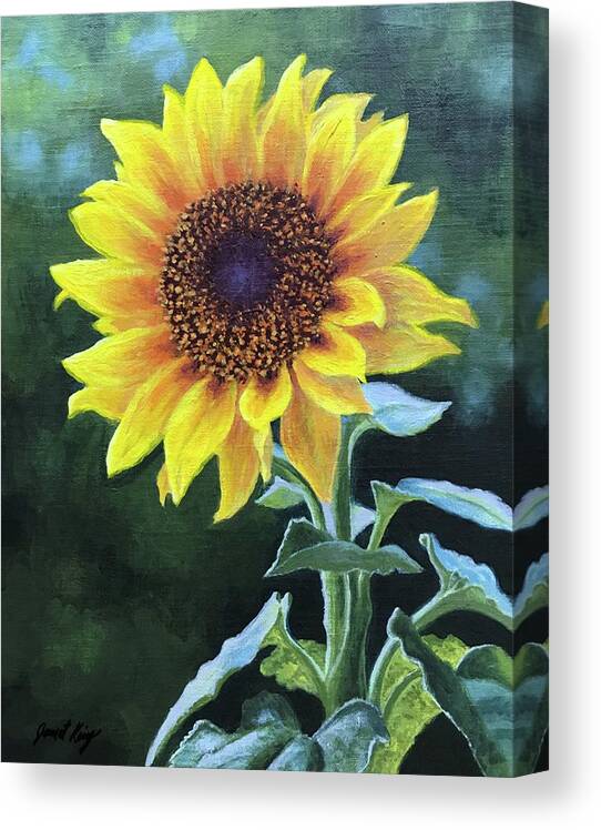 Sunflower Canvas Print featuring the painting Sunflower by Janet King