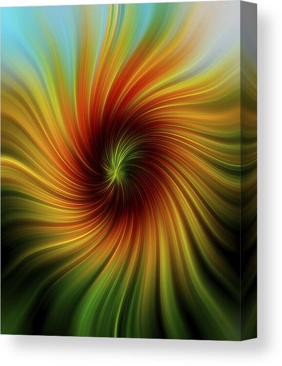 Sunflower Swirl Canvas Print featuring the photograph Sunflower Swirl by Terry DeLuco
