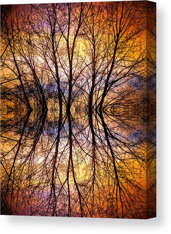 Abstract Prints Canvas Print featuring the photograph Sunset Tree Silhouette Abstract 1 by James BO Insogna