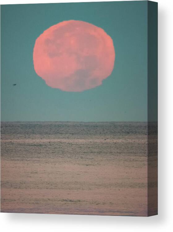 California Canvas Print featuring the photograph Supermoon 2016 at Moonset over the Pacific by Adam Rainoff
