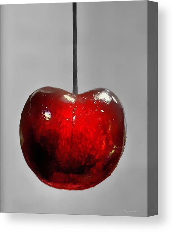 Cherry Canvas Print featuring the photograph Suspended Cherry by Suzanne Stout