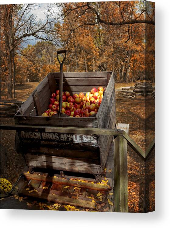 Apple Bin Canvas Print featuring the photograph The Apple Bin by Susan Rissi Tregoning