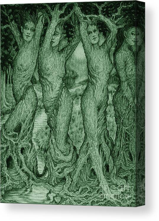 Mythology Canvas Print featuring the drawing The Dryads by Debra Hitchcock