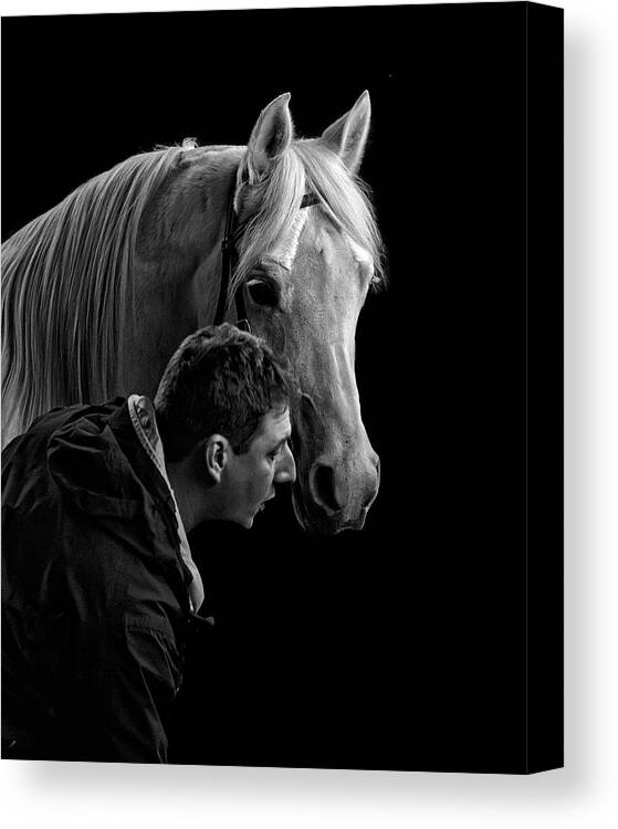 The Horse Whisperer Extraordinaire Canvas Print featuring the photograph The Horse Whisperer Extraordinaire by Wes and Dotty Weber