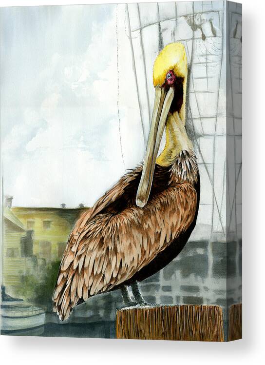 Pelican Canvas Print featuring the painting The Menace of Shem Creek by Thomas Hamm
